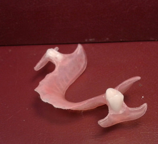 zlower flexible partial, wax tryin, lower impression, shipping 2x