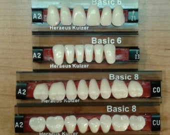 zpremium bleach shade for display denture