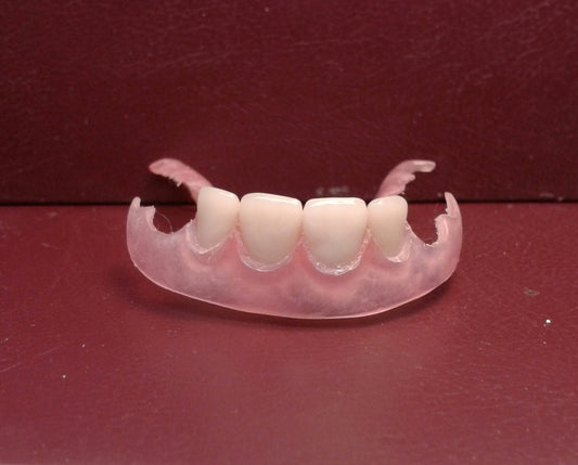 zLower flexible partial remake, wax try-in, lower impression, priority shipping (x2)