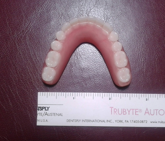 Lower denture acrylic, large, false teeth